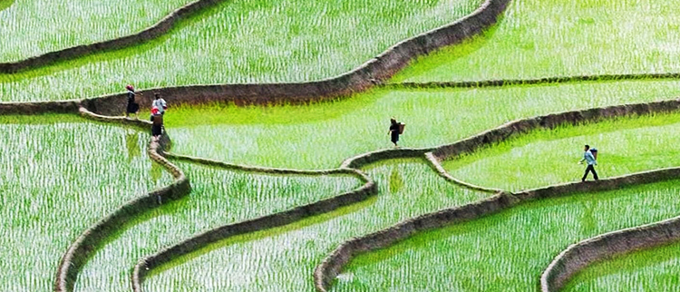 首页- 新宝GG集团创造事业平台