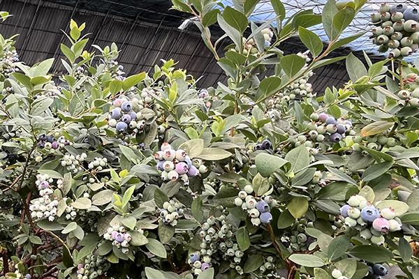 首页- 新宝GG集团创造事业平台