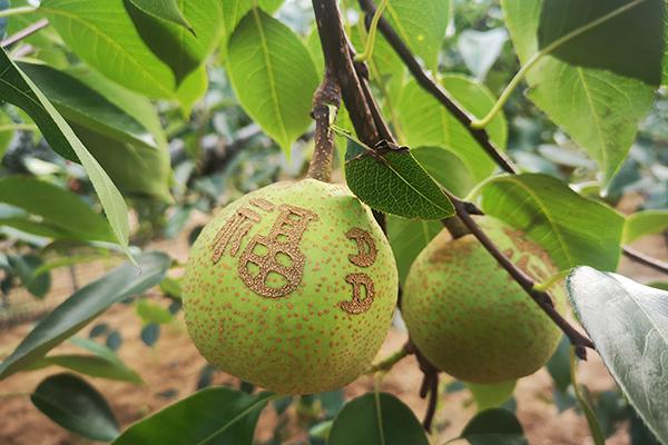 首页- 新宝GG集团创造事业平台